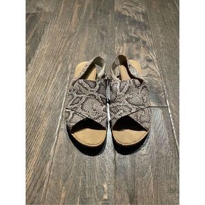 Sesto Meucci Sylke